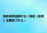 電影老獸說(shuō)的什么（電影《老獸》主要講了什么）