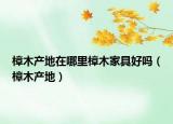 樟木產(chǎn)地在哪里樟木家具好嗎（樟木產(chǎn)地）