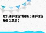 挖機(jī)油泵柱塞對(duì)照表（油泵柱塞是什么意思）