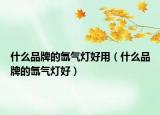 什么品牌的氙氣燈好用（什么品牌的氙氣燈好）