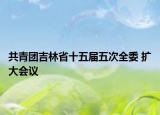 共青團(tuán)吉林省十五屆五次全委 擴(kuò)大會(huì)議