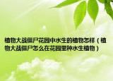 植物大戰(zhàn)僵尸花園中水生的植物怎樣（植物大戰(zhàn)僵尸怎么在花園里種水生植物）