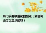 蜀門手游峨眉武器加點（武魂蜀山怎么加點的呀）