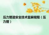 壓力管道安全技術(shù)監(jiān)察規(guī)程（壓力管）