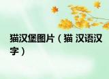 貓漢堡圖片（貓 漢語漢字）