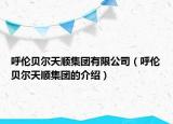 呼倫貝爾天順集團(tuán)有限公司（呼倫貝爾天順集團(tuán)的介紹）