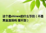 這個是shinee的什么節(jié)目（不是黃金漁場嗎 搜不到）