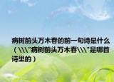 病樹前頭萬(wàn)木春的前一句詩(shī)是什么（\