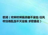 歌詞（吹啊吹啊我赤腳不害怕 任風吹任他亂毀不滅是我 求歌曲名）