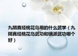 九陰真經(jīng)桃花島用的什么武學（九陰真經(jīng)桃花島武功和鎮(zhèn)派武功哪個好）