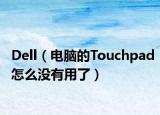 Dell（電腦的Touchpad怎么沒有用了）