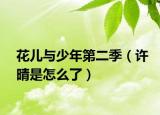 花兒與少年第二季（許晴是怎么了）