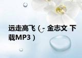 遠走高飛（- 金志文 下載MP3）
