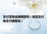 支付寶有金融牌照嗎（錢寶支付有支付牌照嗎）