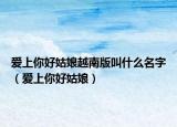 愛(ài)上你好姑娘越南版叫什么名字（愛(ài)上你好姑娘）