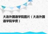 大連外國語學(xué)院圖片（大連外國語學(xué)院學(xué)費(fèi)）