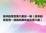 放羊的星星第幾集在一起（放羊的星星有一場(chǎng)吻戲具體是在第幾集）