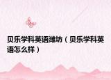 貝樂學(xué)科英語濰坊（貝樂學(xué)科英語怎么樣）