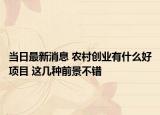 當日最新消息 農(nóng)村創(chuàng)業(yè)有什么好項目 這幾種前景不錯