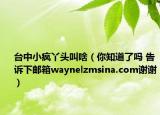 臺中小瘋丫頭叫啥（你知道了嗎 告訴下郵箱waynelzmsina.com謝謝）