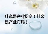 什么是產業(yè)招商（什么是產業(yè)布局）