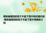 媒體被調(diào)劑的孩子不能下落不明詳細(xì)內(nèi)容 媒體被調(diào)劑的孩子不能下落不明具體介紹
