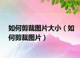 如何剪裁圖片大?。ㄈ绾渭舨脠D片）