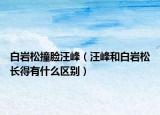 白巖松撞臉汪峰（汪峰和白巖松長得有什么區(qū)別）