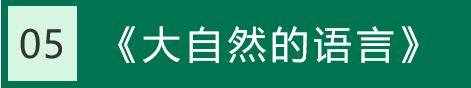 八下語文課本（生字詞注音+生字詞解釋）匯總，考試必考