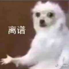 揭秘！奶茶的中杯大杯到底點誰合適？實測6家連鎖茶飲