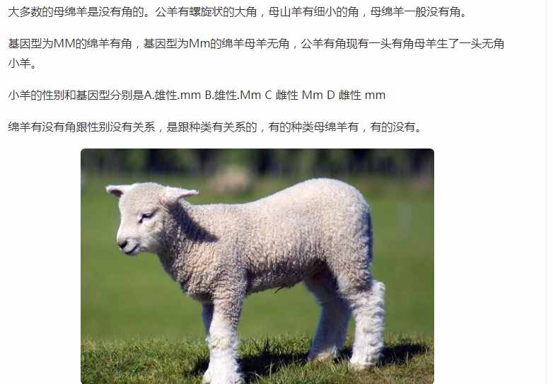 十年后才知道，美羊羊的羊角并非什么穿幫，母羊其實(shí)也有角