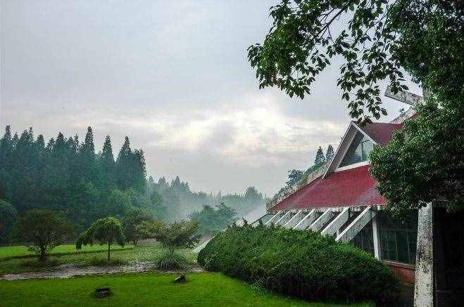 上海17個(gè)春游好去處！放風(fēng)箏、賞花、采摘、燒烤，想怎么嗨都行！
