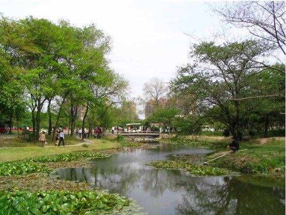 上海17個(gè)春游好去處！放風(fēng)箏、賞花、采摘、燒烤，想怎么嗨都行！