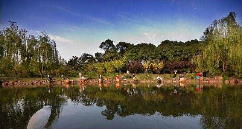 上海17個(gè)春游好去處！放風(fēng)箏、賞花、采摘、燒烤，想怎么嗨都行！