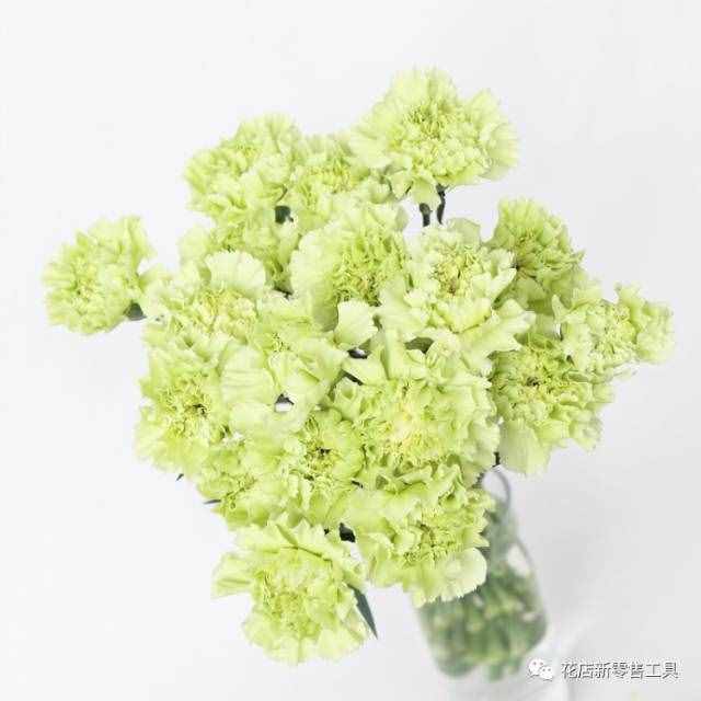 怎樣正確治療心理疾?。?class=