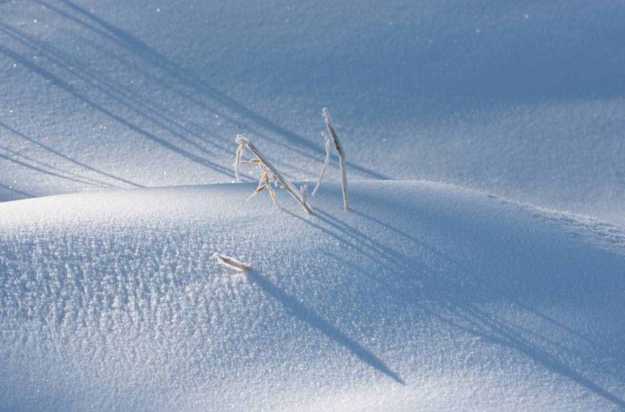 16首經(jīng)典詠雪詩詞，冬如畫，雪如詩，賞盡冬雪之雪