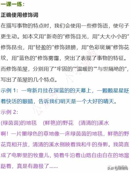 二年級下冊語文課文22《小毛蟲》圖文詳解及同步練習