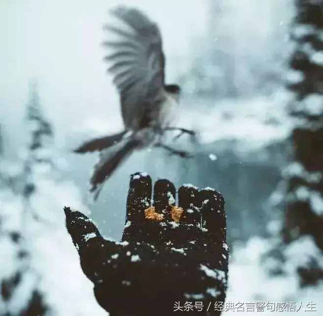 平等待人，善良做人