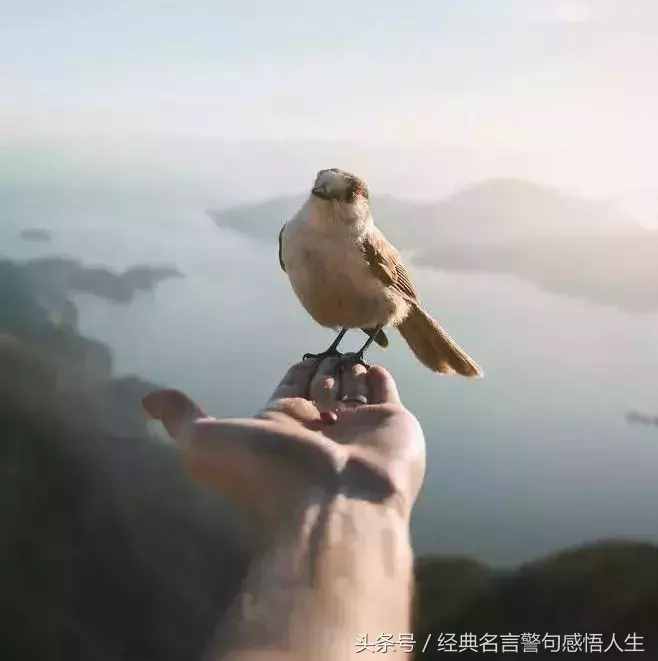 平等待人，善良做人