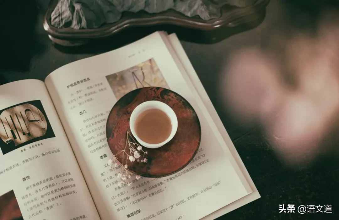 高中語文易錯(cuò)成語分類匯編！每天背三個(gè)，高考全搞定