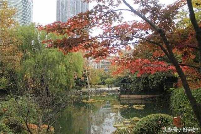 上海值得一去的18個(gè)公園，免費(fèi)又好玩！