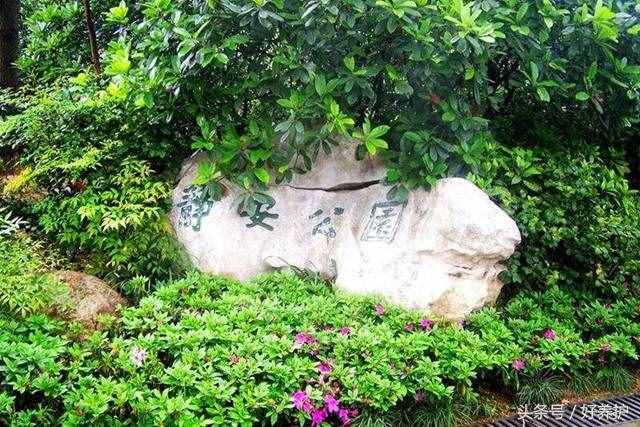 上海值得一去的18個(gè)公園，免費(fèi)又好玩！