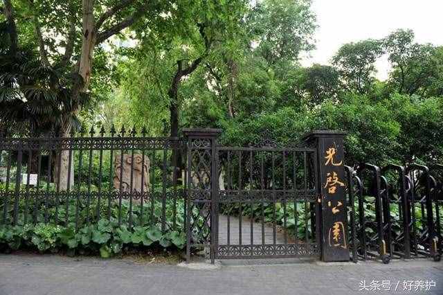 上海值得一去的18個(gè)公園，免費(fèi)又好玩！