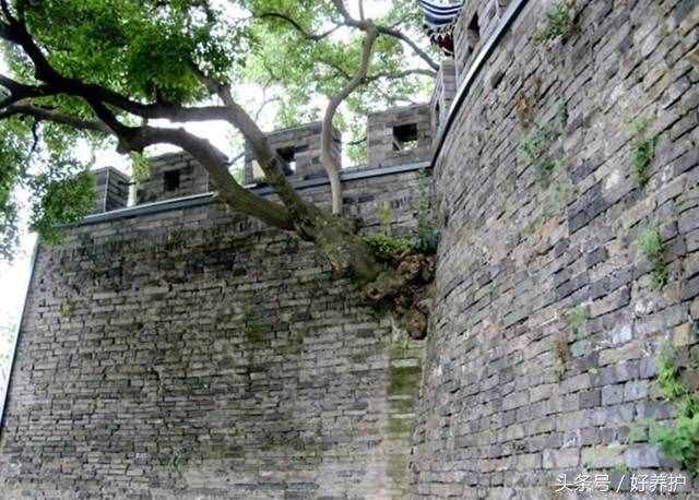 上海值得一去的18個(gè)公園，免費(fèi)又好玩！