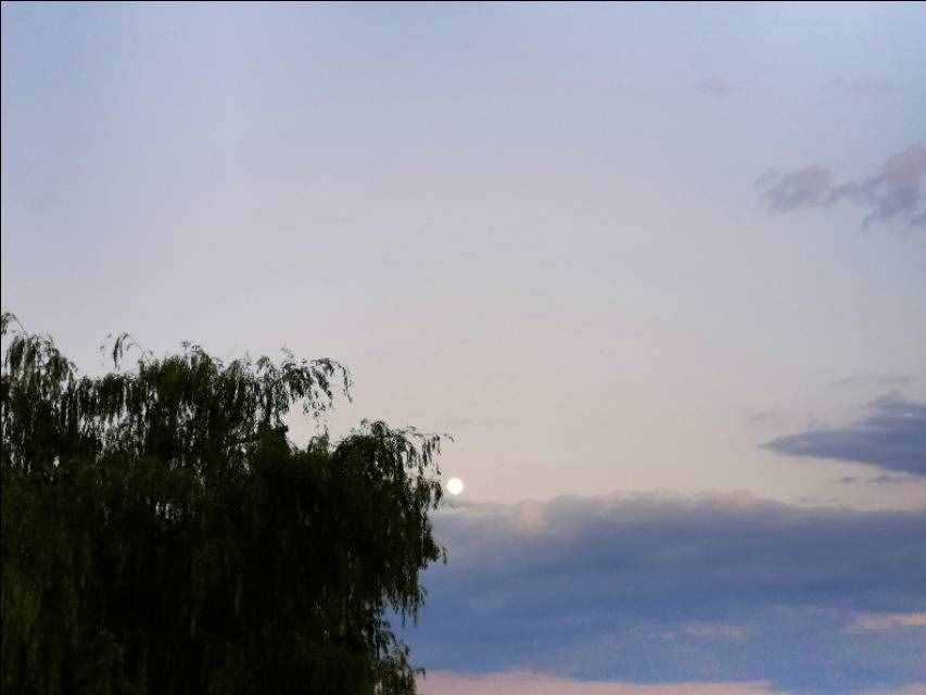 秋吟：夜色茫茫多少怨，蛩鳴達(dá)旦卻沒(méi)停
