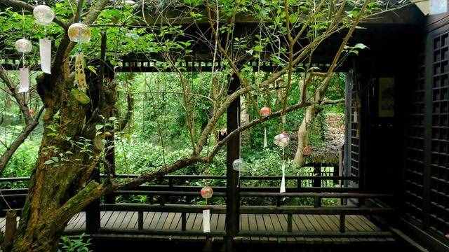 杭州周邊游 適合徒步的原始森林公園 元代名家黃公望隱居地