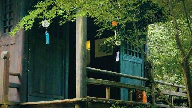 杭州周邊游 適合徒步的原始森林公園 元代名家黃公望隱居地