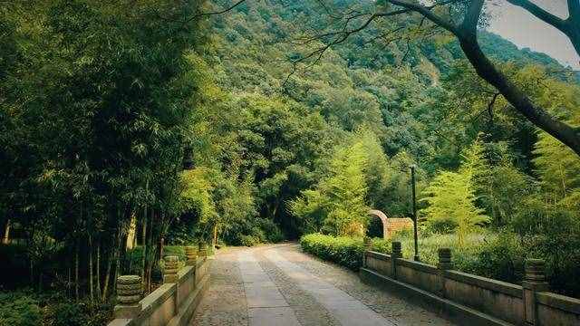 杭州周邊游 適合徒步的原始森林公園 元代名家黃公望隱居地