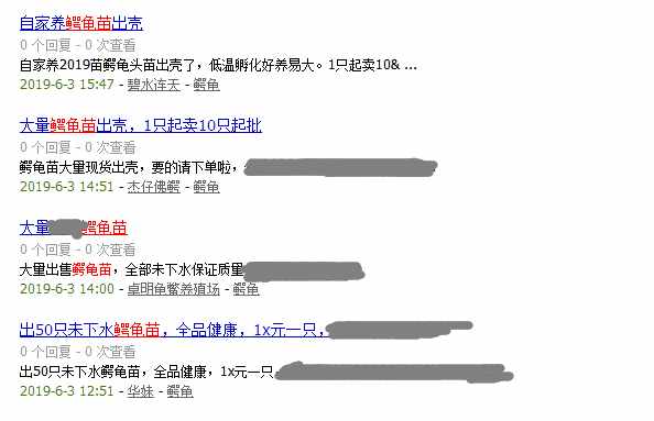 2019年龜市黑馬！鱷龜苗從曾經(jīng)的3~5元/只上漲到13元/只