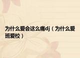 為什么愛會(huì)這么痛dj（為什么愛班愛校）